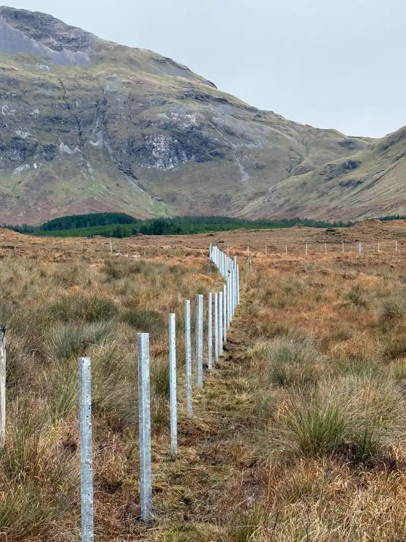 Galvanised fence posts running across moorland in Killarney National Park
